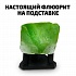 Набор для опытов Вырасти кристалл, зеленый, светится в темноте из серии National Geographic  - миниатюра №2
